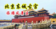 按摩店激情勾引中国北京-东城古宫旅游风景区